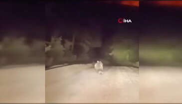 Bursa'da dağ yolunda panik anları! Yetkililer uyardı...