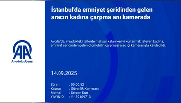 Kediyi kurtarmak için yola fırladı! Neredeyse sonu oluyordu...