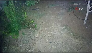 Elazığ'da sonik patlamalar! Bazı evlerin camları kırıldı...