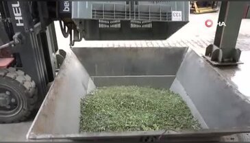 Bursa'dan dünyanın dört bir yanına!