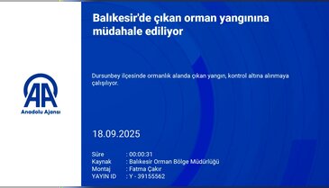 Yaz bitti yangınlar bitmedi! Bursa'nın komşusunda alevler yükseldi...
