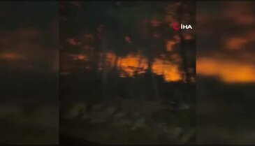 Muğla'da orman yangınına müdahale devam ediyor