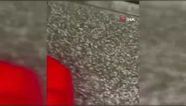 Bursa'da mağazayı kundakladı; o anları da videoya aldı!