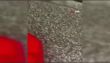 Bursa'da mağazayı kundaklamıştı: Flaş gelişme!