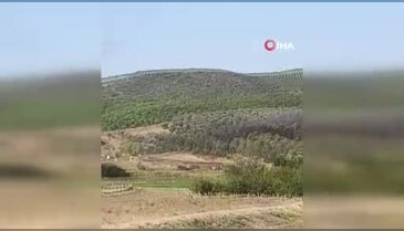 Bursa'da çıkan orman yangını 16 saatin ardından söndürüldü