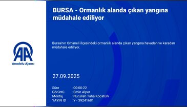 Bursa'da bir yangın daha! Müdahale başladı