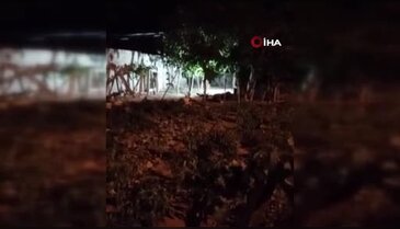 Aile faciası! Anne ve babasını bıçakla katletti