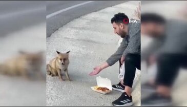 Uludağ yolunda sıra dışı karşılaşma!