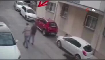 Köpeğe kemerli şiddet! O anlar kamerada...