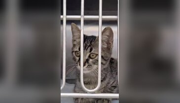 Bursa'da bu hafta sonu kalpler ısıtılıyor!