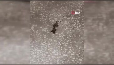 Bursa'da okul koridoru kabusa döndü!