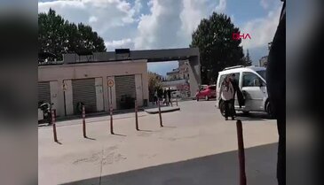 Bursa'da piknik eğlencesi kötü bitti! Yılan ısırığı hastanelik etti...