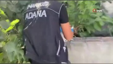 Adana'da torbacı operasyonu: 6 tutuklama
