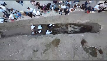 16 metrelik dev balina fosili bulundu