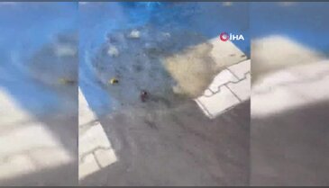 Rögar temizlenmeyince, fare yaşam mücadelesi verdi