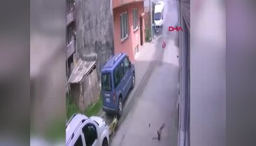 Bursa'daki uçak kazasında dikkat çeken tesadüf! Uçakları son anda değiştirmişler...