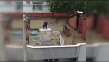 Bursa'da su krizini umursamadı! Hortumla halı yıkadı