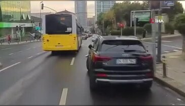 Direğe çarpan martı kalp masajıyla hayata döndü