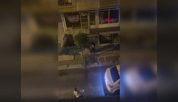 Pitbull dehşeti kameralara yansıdı! Sahibine acımasızca saldırdı...