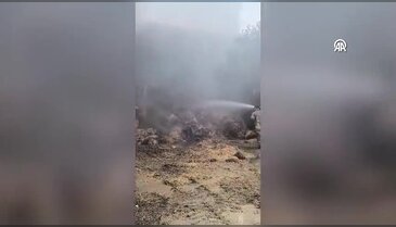 Bursa'da ahır yangını! Çok sayıda hayvan telef oldu...