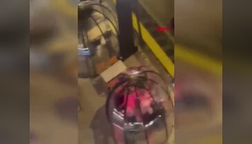 Av tüfeği ile etrafı kana bulayacaktı! Neyse ki silah tutukluk yaptı...