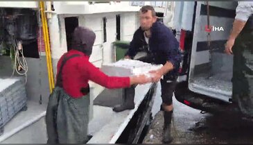 Balıkçıların yüzü gülüyor: Marmara Denizi bereketlendi