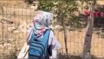 Görüntü Türkiye'den! Çevredekilerin tepkisine rağmen aldırış etmedi