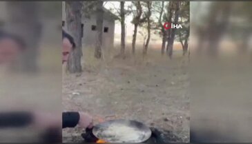 Tilkiler yerleşim yerlerine indi
