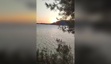 Bursa'da acı manzara! 1 sene sonraki görüntüsü kahretti...