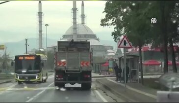 Bursa'da ekolojik dengeyi koruyan proje! Kızıl geyikler doğal ortamına kavuştu...
