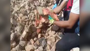 Taş ve tezek yığınları arasına zula yapmışlar! Jandarmanın gözünden kaçmadı...