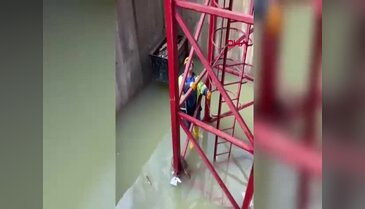 İnşaat alanında tilki su dolu çukura düştü