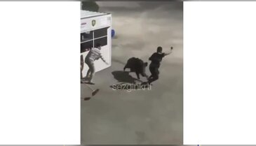 Korku dolu anlar! Domuz işçilere saldırdı