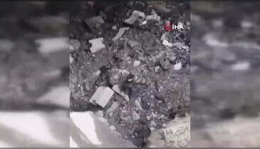 Anne kedinin duygulandıran nöbeti