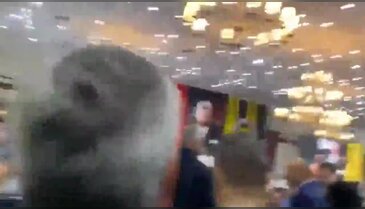 Fenerbahçe Yüksek Divan Kurulu'nda kavga!