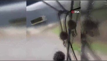 Kamyon sürücüsü yavru köpeği kurtardı