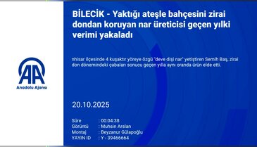 Nar üreticisi, yaktığı ateşle bahçesini zirai dondan korudu