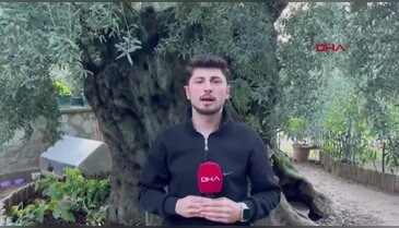 Bursalı adamın her gün uyandığı manzaraya bakın