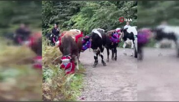 Asırlık yayla geleneği sürüyor