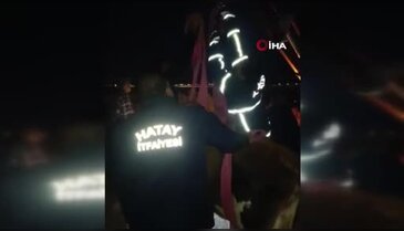 Evin damında mahsur kalan inek vinçle kurtarıldı