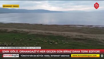 İznik Gölü Orhangazi'yi terk ediyor! İskeleden sonra 80 metre daha geriledi...