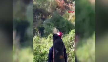 Uludağ'a kestane toplamaya giden çocuklar mahsur kalmıştı! AFAD imdatlarına yetişti...