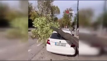 Bursa'da vatandaşlar yürümekte zorluk çekti! Ağaçları devirdi, çatıları uçurdu