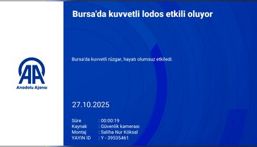 Bursa'da lodos hayatı olumsuz etkiledi