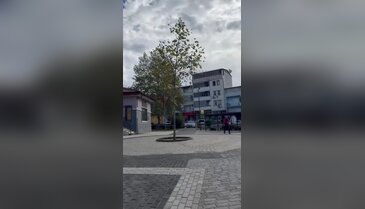 Bursa'da mahalle sakinlerinin kabusu oldu! Adı küçük, tehdit büyük...