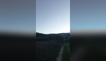 Gökyüzü hareketlendi! Kuşların göç yolculuğu başladı...