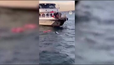 Denizde korku dolu dakikalar! Vatandaşlar seferber oldu...