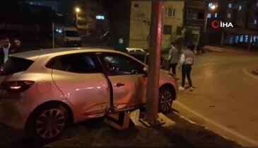 İsviçre sofralarını süsleyen Bursa zeytininde bu yıl kalite yüksek
