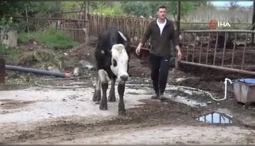 Bursa'da salgın tüm yatırımını heba etti: 'Deprem gibi oldu, yıktı geçti'