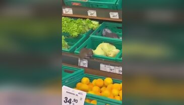 Bursa'da bir markette mide bulandıran görüntüler!